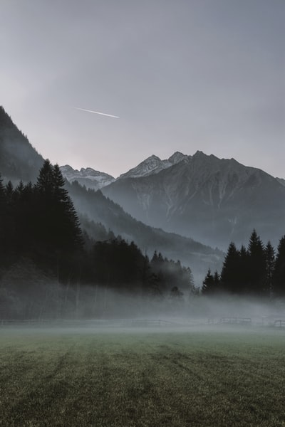 大雾覆盖的山景照片和轨迹图